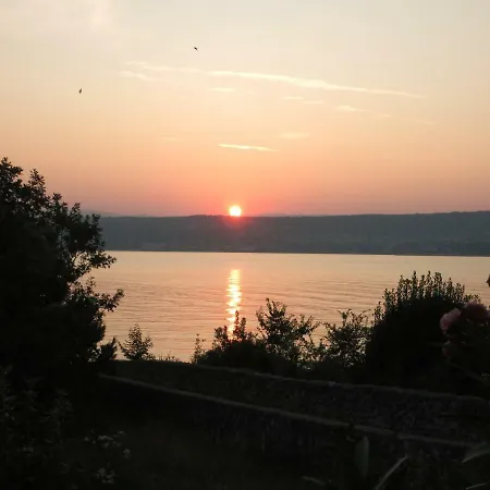 Stella Малинска