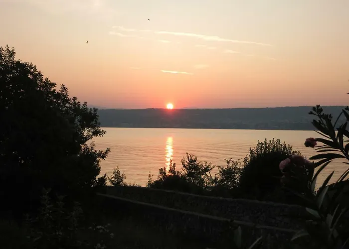 Stella Малинска